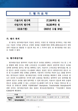 가치평가 보고서